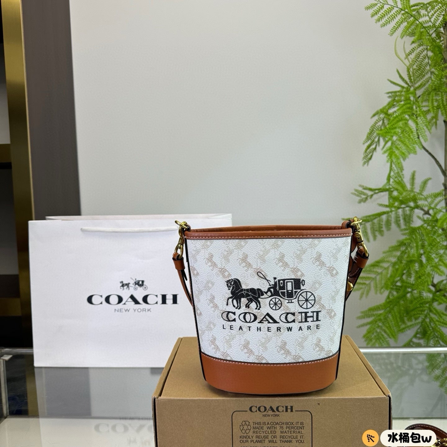 Canvas Fortune Bucket