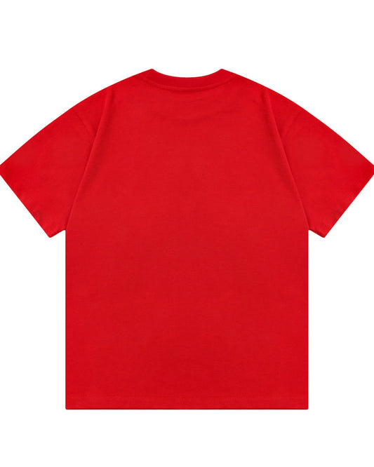 Embroidered printed T-shirt